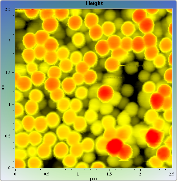 Latex_microspheres