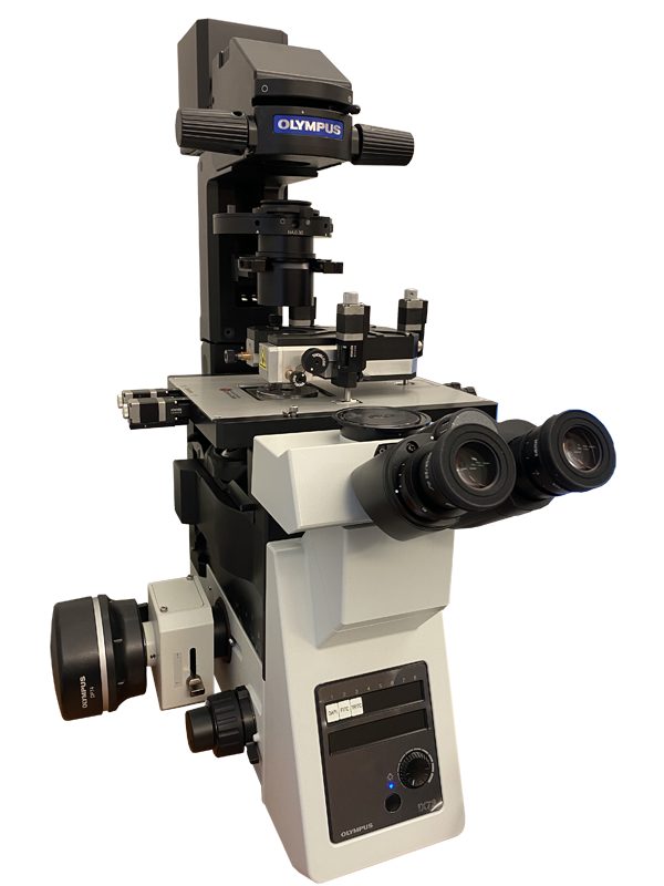 Сканирующий зондовый микроскоп (СЗМ) Certus Optic на базе Olympus IX71