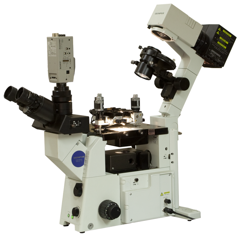 Certus Optic (AFM) with Olympus IX71 Certus Optic (AFM) with Olympus IX71