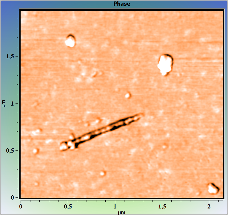 Single-walled Nanotube. AFM image. "Phase"